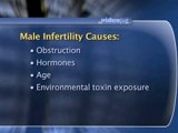 Male Infertility : What causes infertility in men?