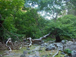 7 jours sur le sentier E4 dans le sud-ouest de la Crète