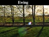 Tree Trimming-Pruning Service | Lambertville-Trenton-Ewing