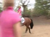 Horse Riding: How To Go Faster