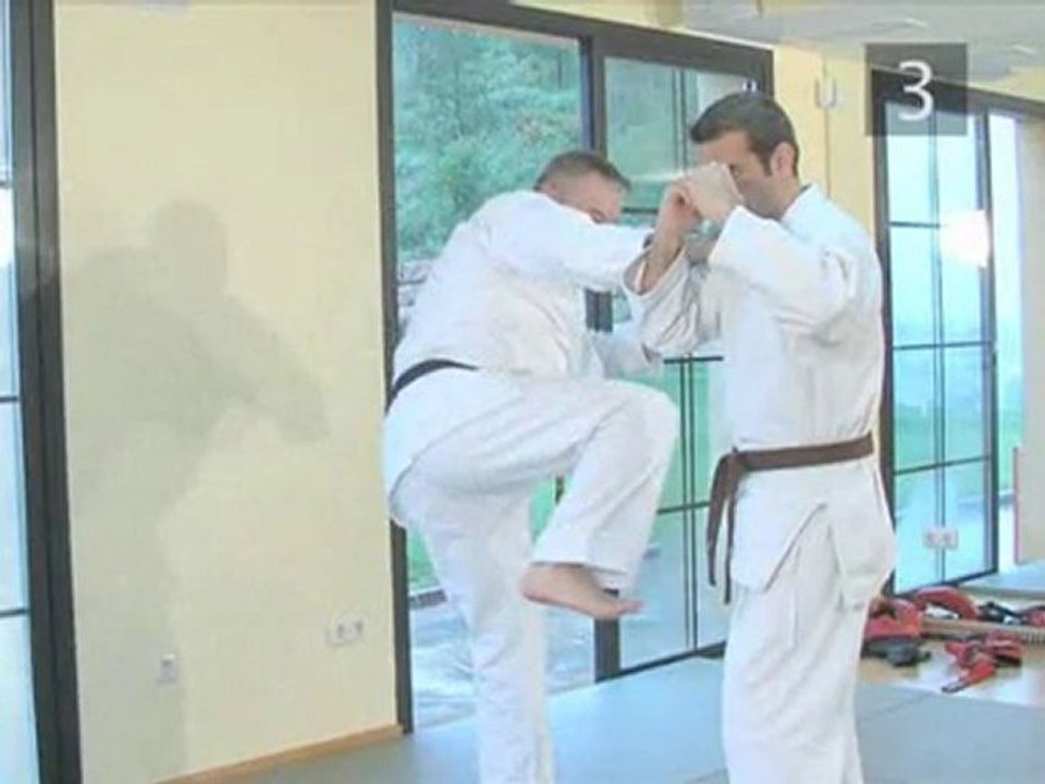 Martial Arts: The Stamp Kick