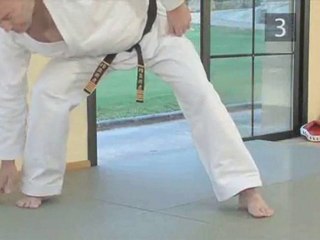 Martial Arts: The Punch