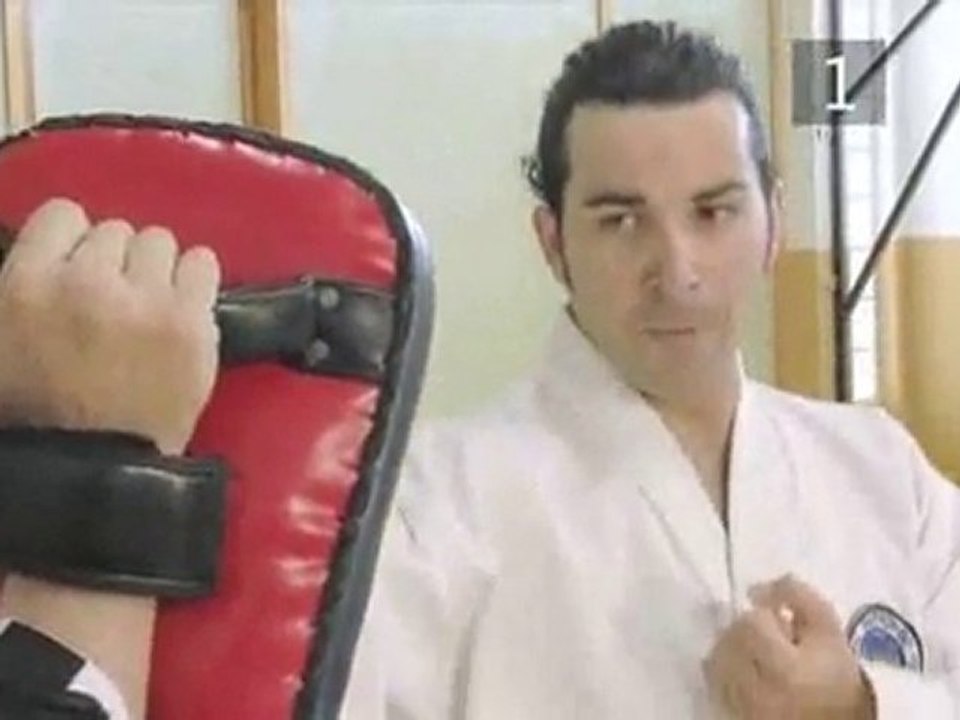 TaeKwon-Do:  Break A Board With The Front Fist