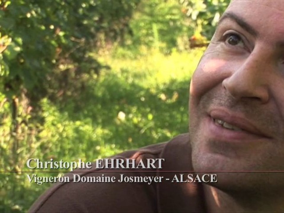 L'ESPRIT DU VIN, le réveil des terroirs - les acteurs