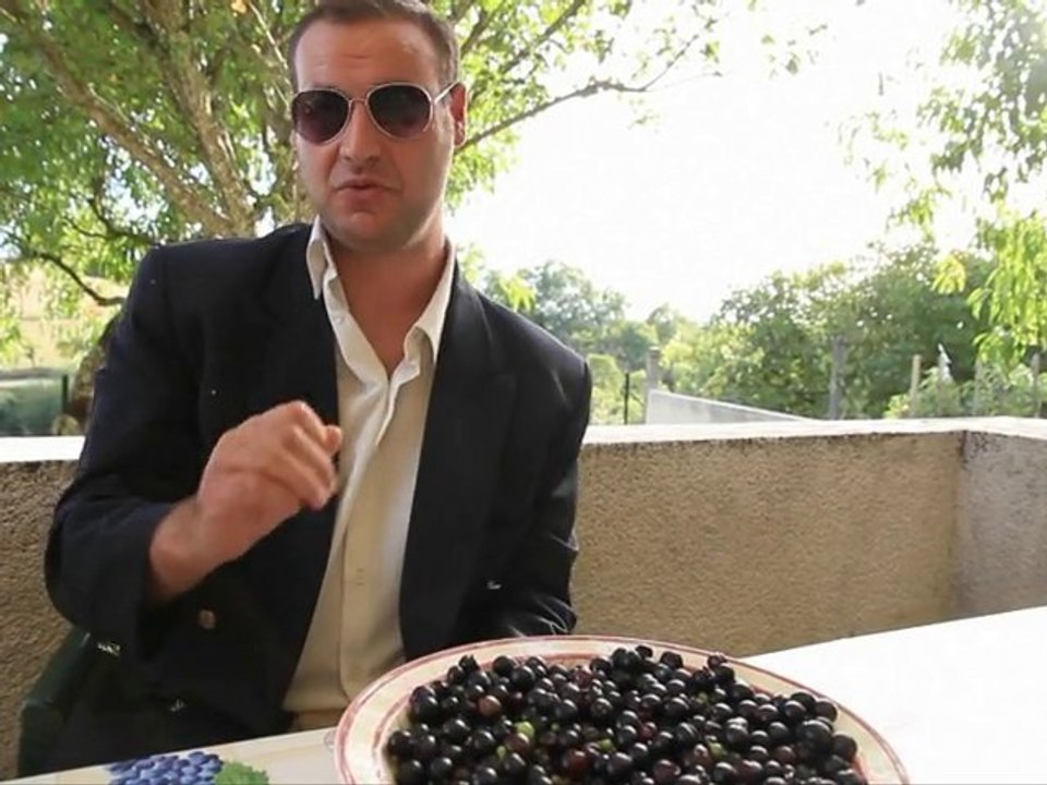FABRICE05