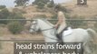 How To Improve Your Classical Seat In Horse Riding