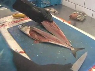 How To Fillet A Mackerel
