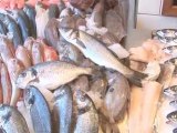 Farmed Fish Compared To Wild Fish  The Differences