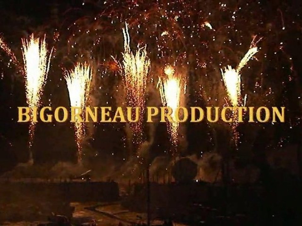 Voeux 2011