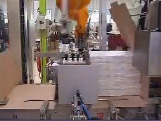 Encaissage, fardelage, palettisation agroalimentaires secs -