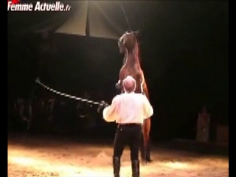 CIRQUE ALEXIS GRUSS