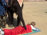 Quand Kim Clijsters se fait masser par un éléphant