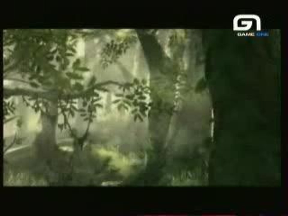Ico -- Alif Tree - Anapoda