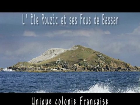 Îles Rouzic (Bretagne)
