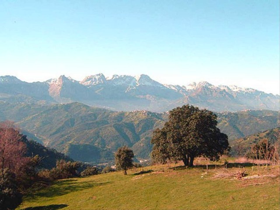 Petit extrait .... du Matoub .... Souvenirs ...