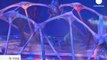 Cirque du Soleil's Totem opens in London