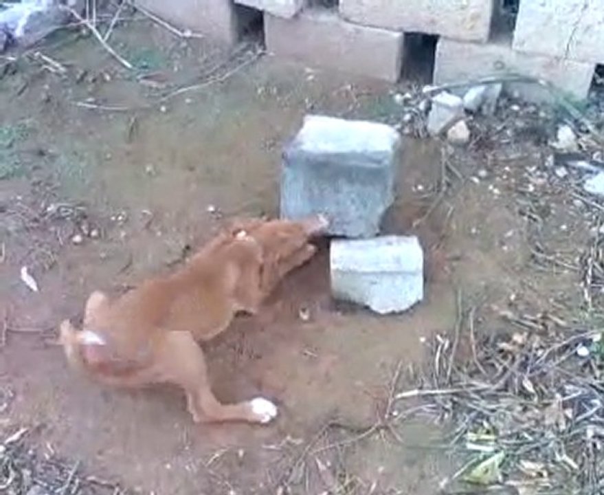 Vídeo012