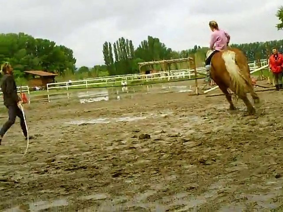 CLIP0006