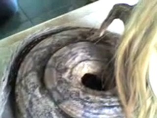 İnsan Başlı Yılan Jenglot (+18)