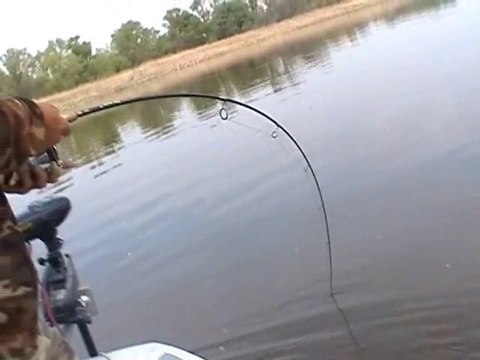 WELS CATFISH TO SPINNING IN RIVER EBRO