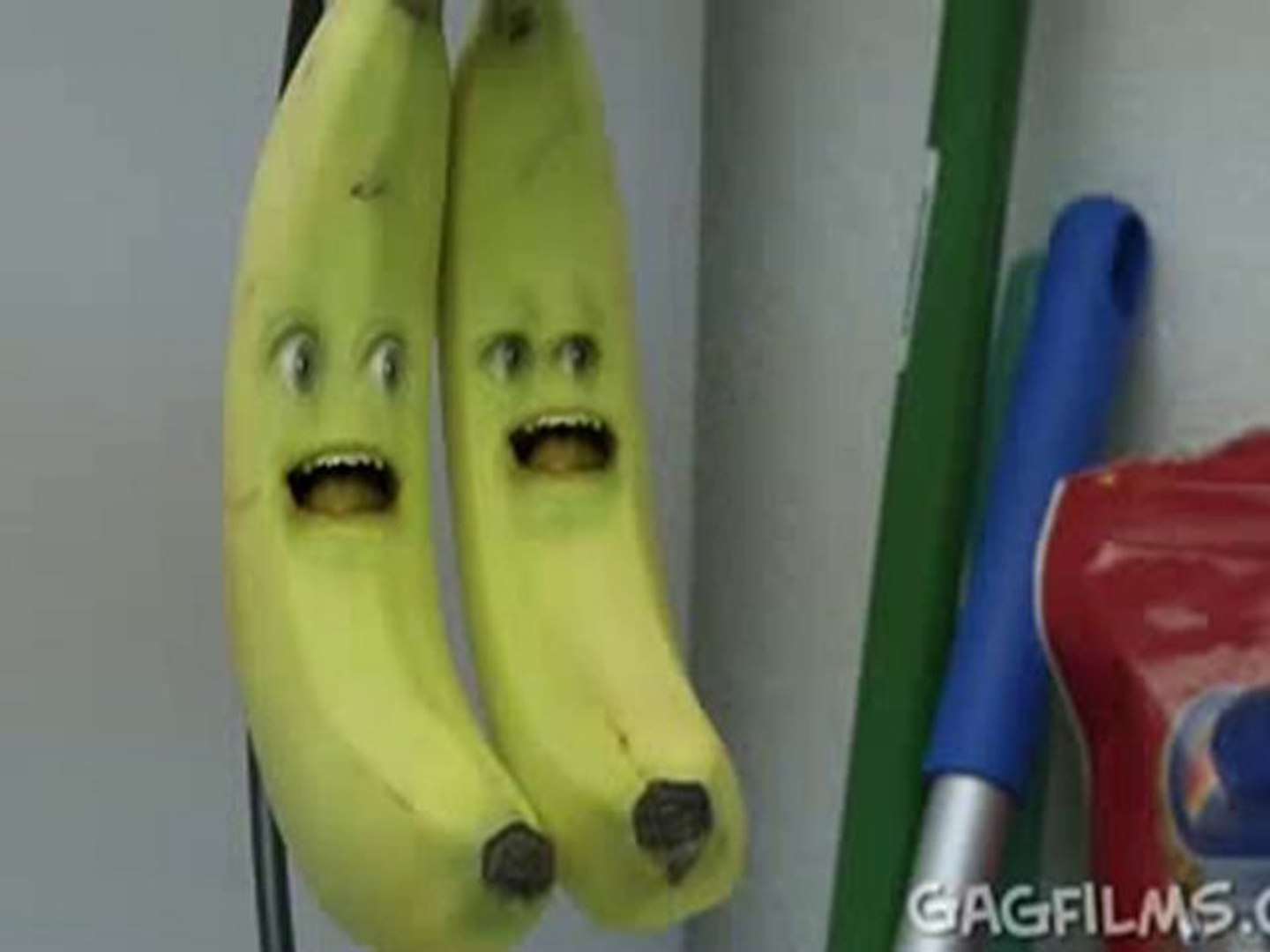 Annoying Orange Wazzup - Best Youtube Video 2010! - Dailymotion Video
