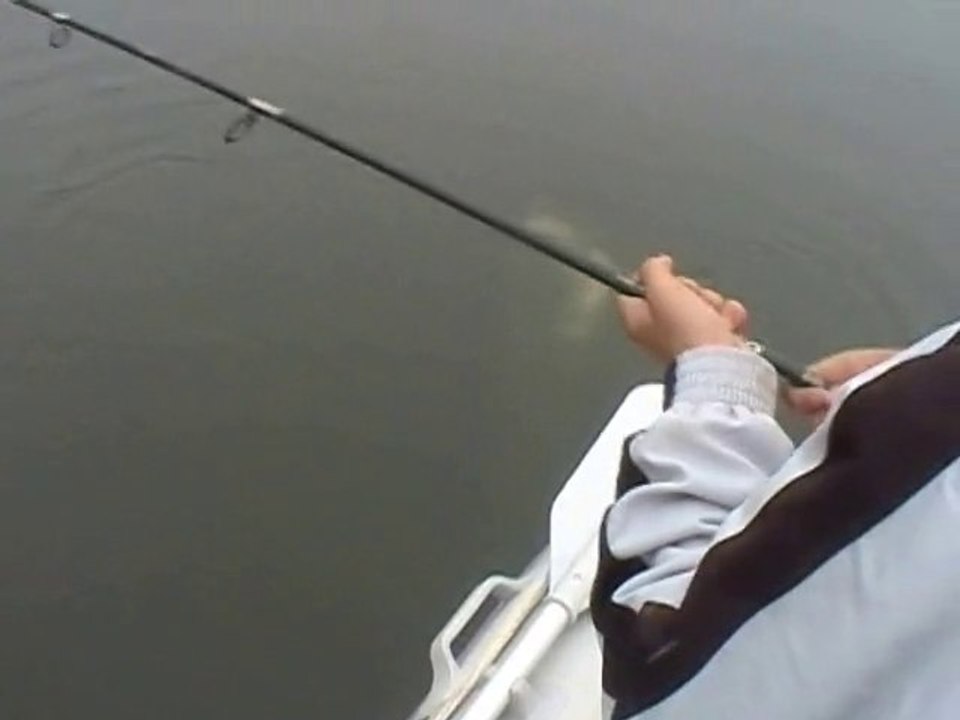 CATFISH CATFISH EATS ANOTHER