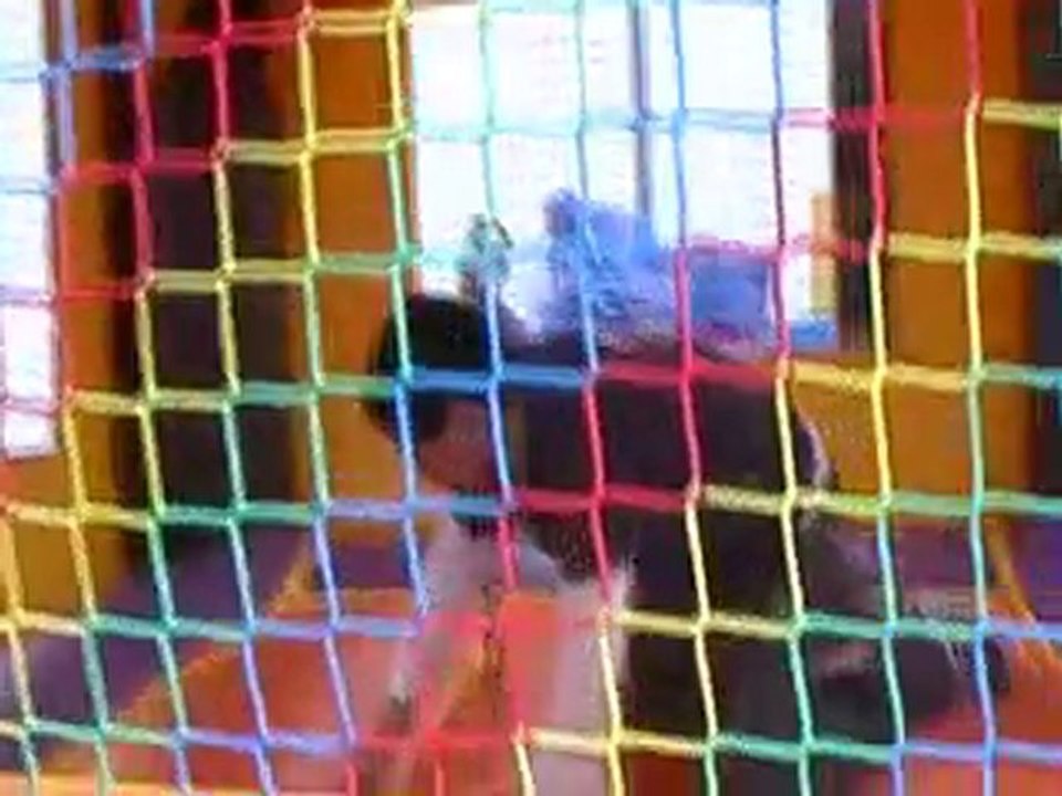 jungle safari jumper 714.521.1963