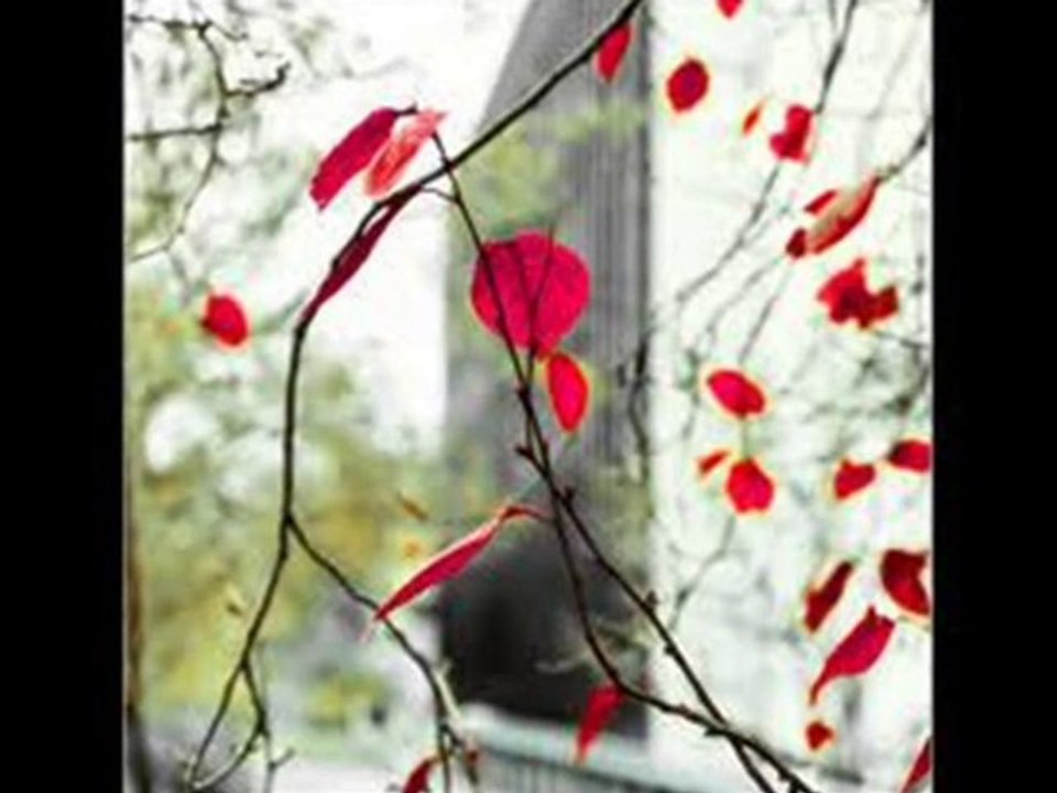 UĞUR IŞILAK -DİLİNİ KANA BULAMA