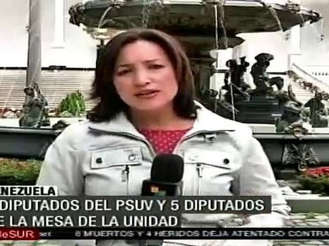 7 diputados del PSUV y 5 diputados de la Mesa de la Unidad, conforman el Parlatino
