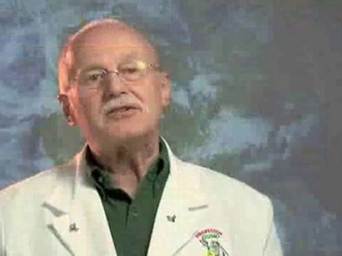 Fun Science: Forces Of Nature : What is evaporation ?