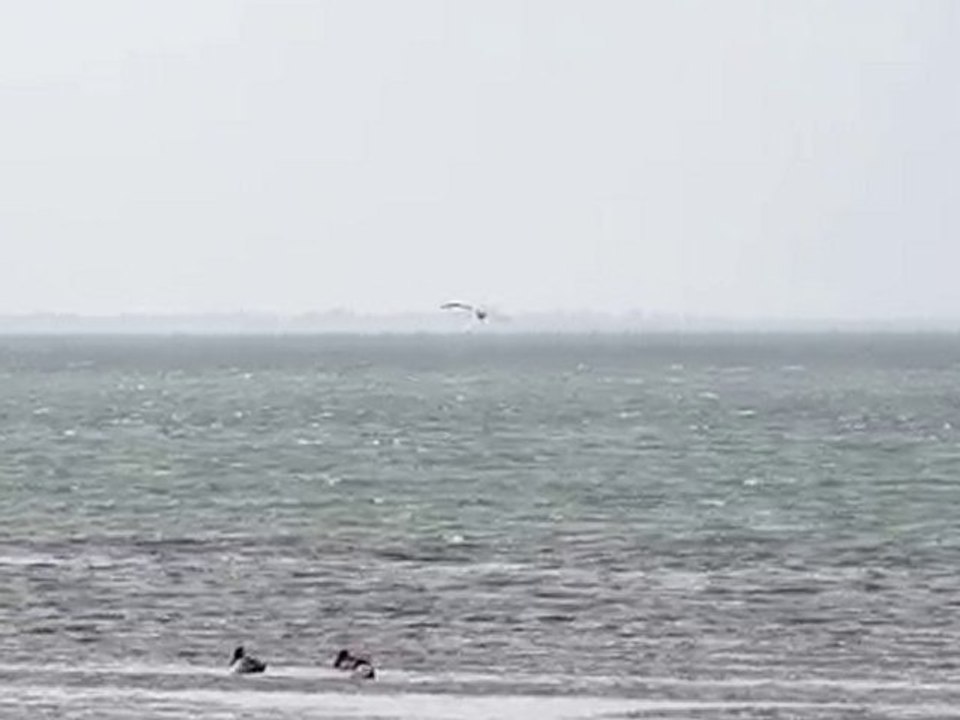 MVI_0638