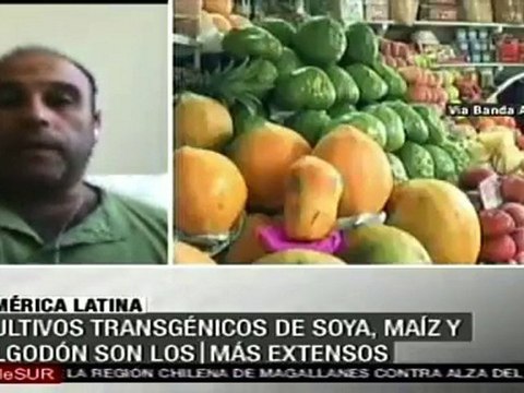 En Chile activistas luchan por regulación de productos transgénicos