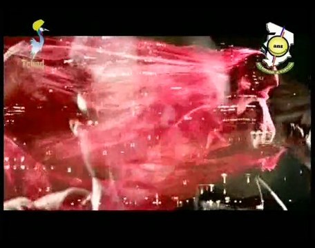 TCHAD MUSIQUE DU 13/01/2011 /01/2011 TCHADONLINE.TV