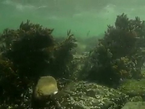 Rough conditions at Thurso East - Day 4 Highlights - Oneill Coldwater Classic Scotland