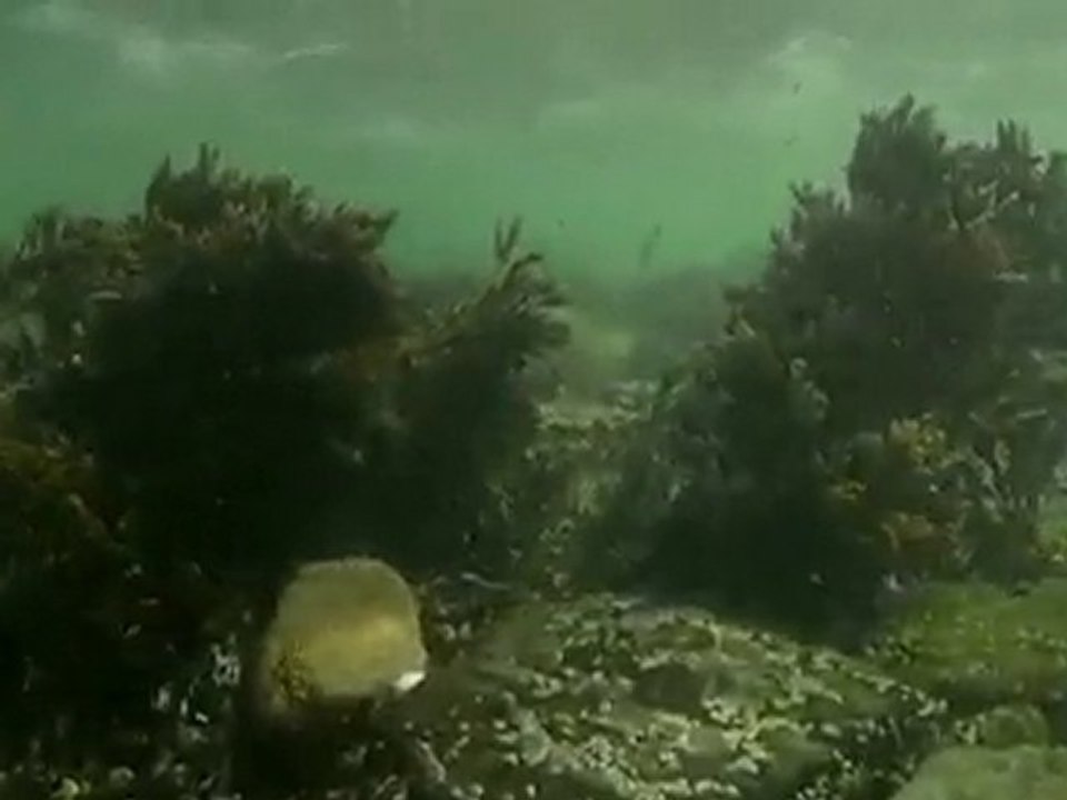 Rough conditions at Thurso East - Day 4 Highlights - Oneill Coldwater Classic Scotland