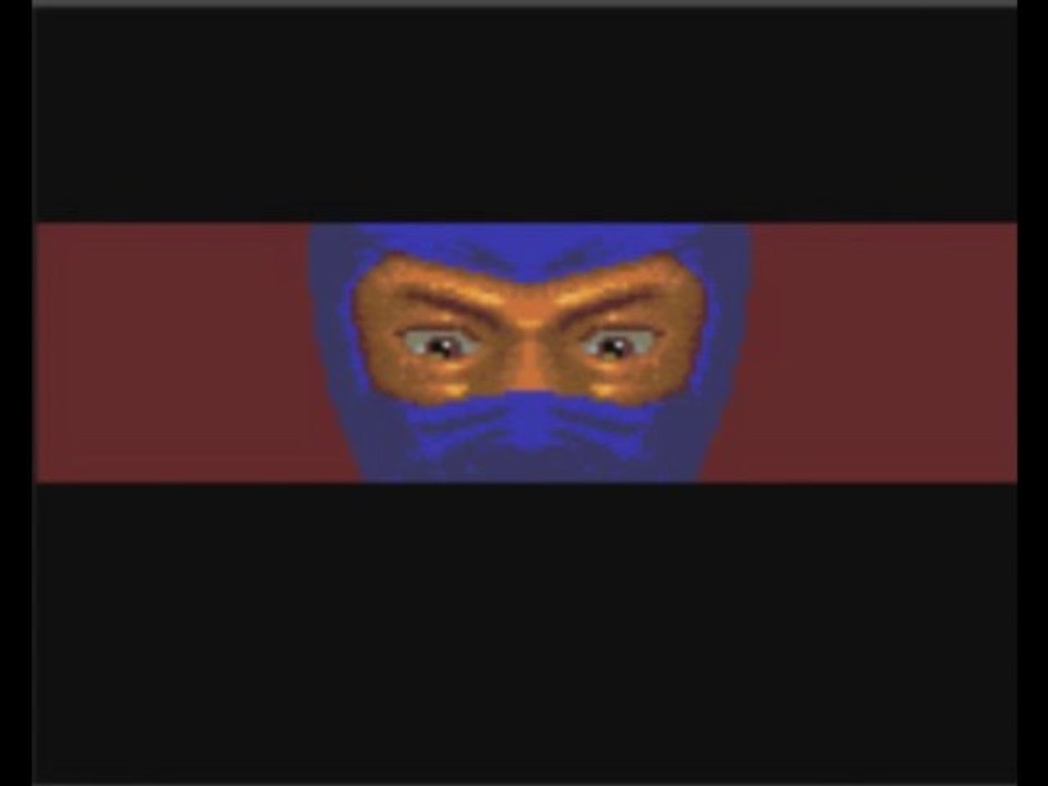 Vidéo Test Ninja Gaiden GG