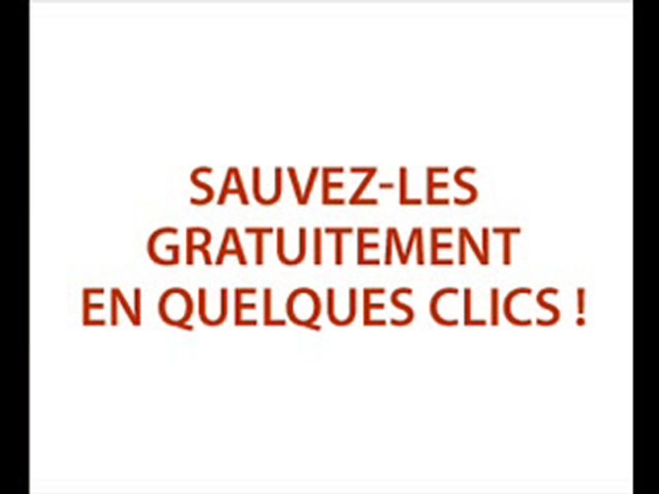 Pub pour Actuanimaux