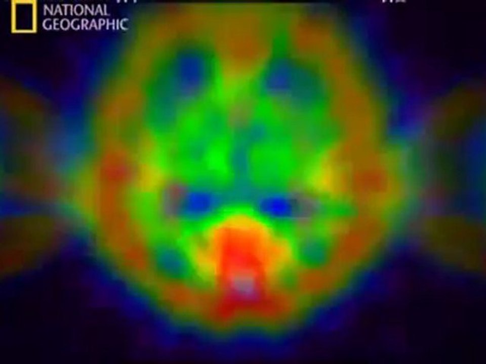 2/5 Documentaire National Geographic Starcraft