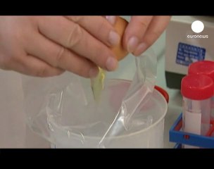 Une escroquerie derrière le scandale à la dioxine?