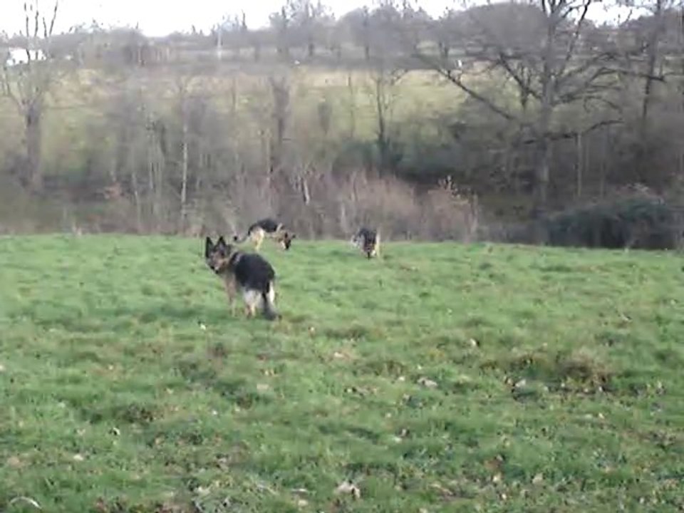Elou berger allemand en visite à la Vallée des Secrets
