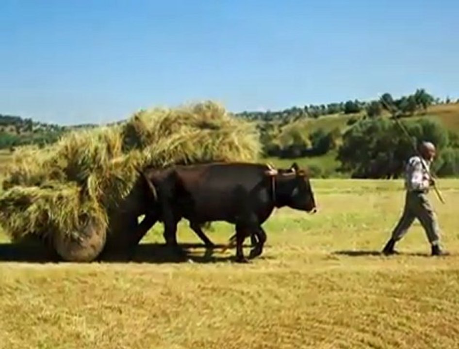 Başçiftlik Tanıtım Videosu