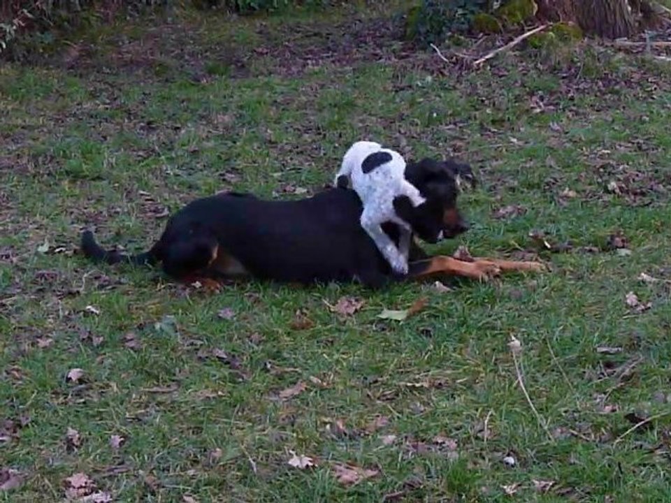 Elphee et Aïna, jeu éducatif 1