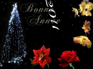 vœux 2011 groupe PS Chevilly-Larue