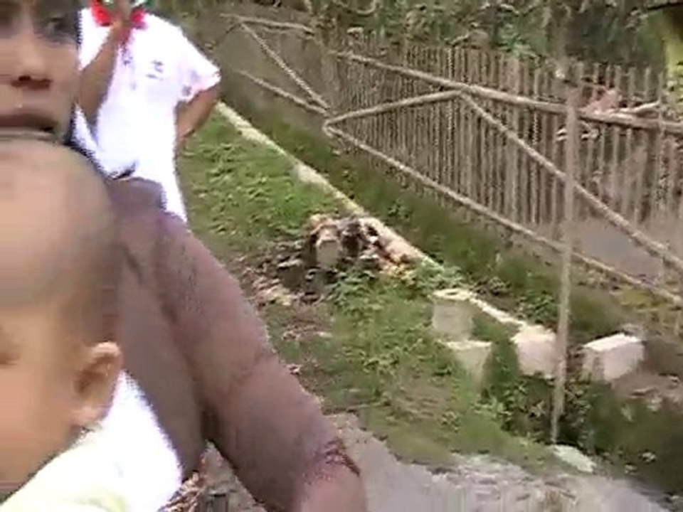 Disaster Volunteer Merapi From Wedi Klaten