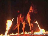 Spectacle de Feu : chevaux, numéros de feu et artifices
