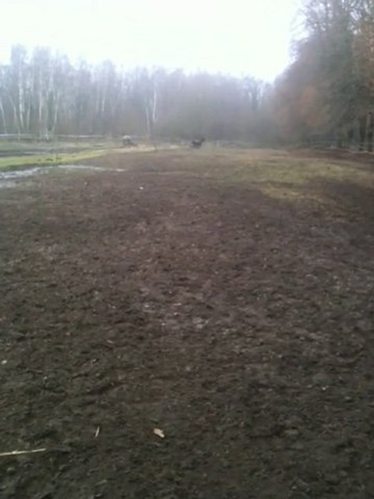 Rap_paddock_Janvier_2011