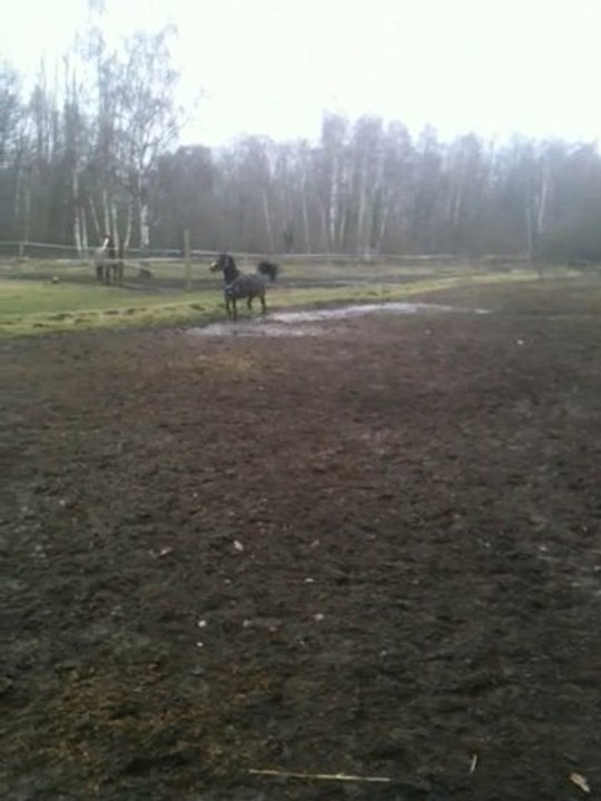 Rap_paddock_Janvier_2011_3