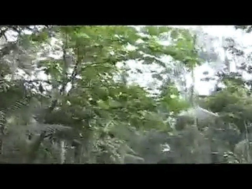 Home sawing wood in Balerante