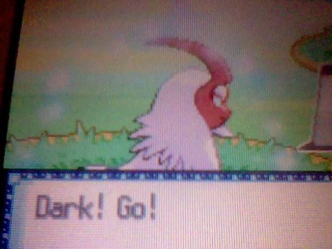 mon Top 10 de mes shiny favoris+Dedicaces