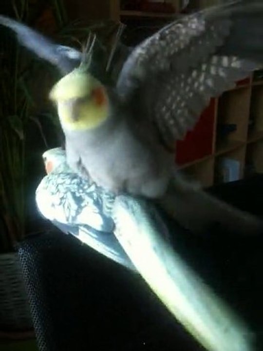 Pas tres efficace...